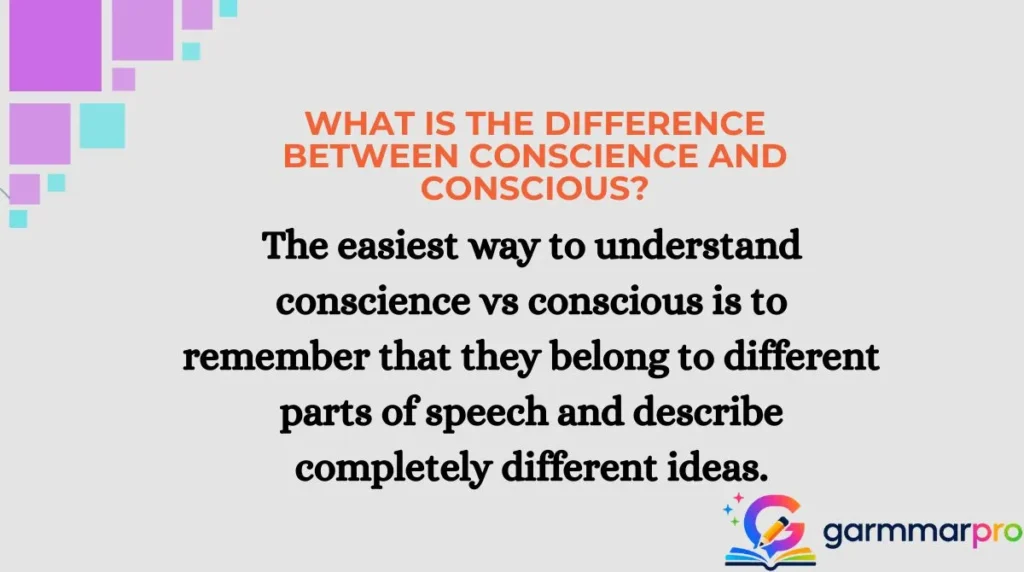 What Is the Difference Between Conscience and Conscious?