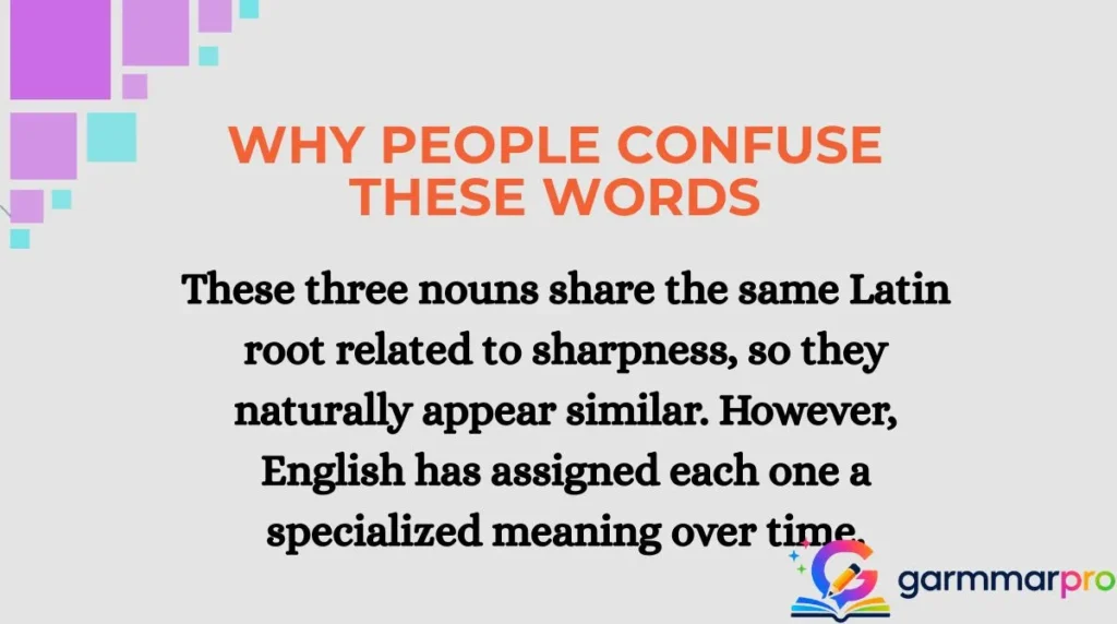 Why People Confuse These Words